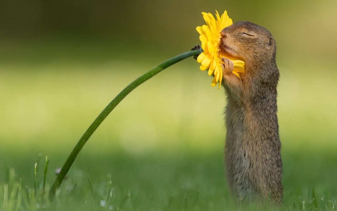 Even kennismaken… de eerste ‘Digitale Brief’.